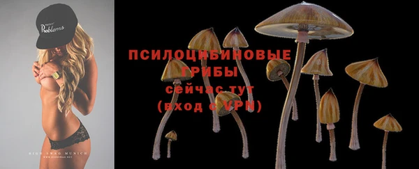дурь Алексеевка