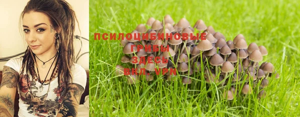 каннабис Алексин