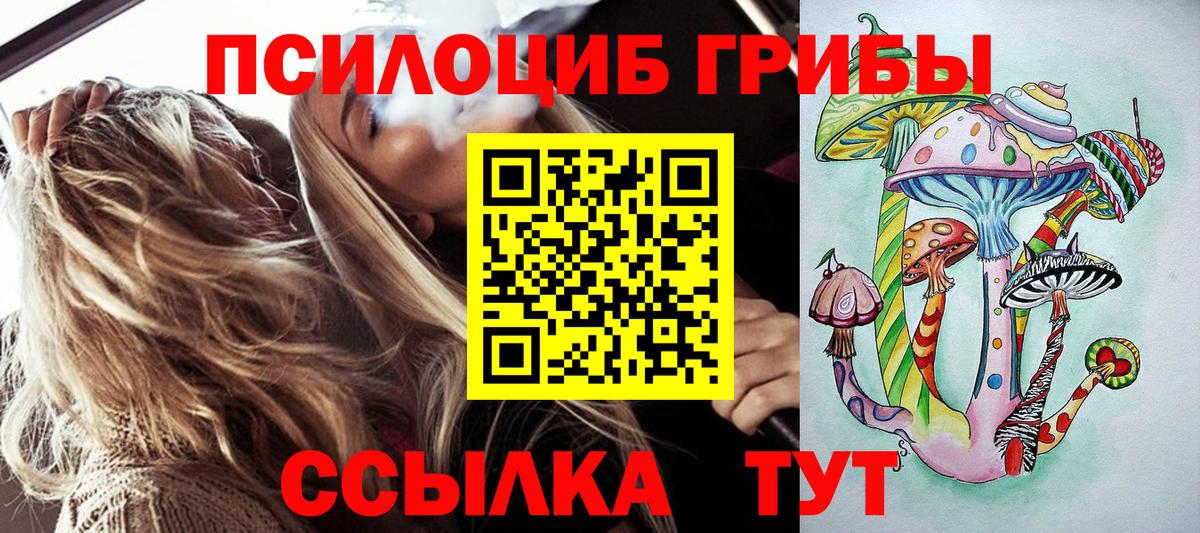 Псилоцибиновые грибы Psilocybine cubensis  Псилоцибиновые грибы прущие грибы  Вход с VPN  Новороссийск 